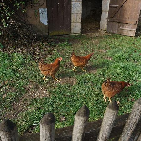 Chambres D'Hote En Dordogne Beauronne エクステリア 写真