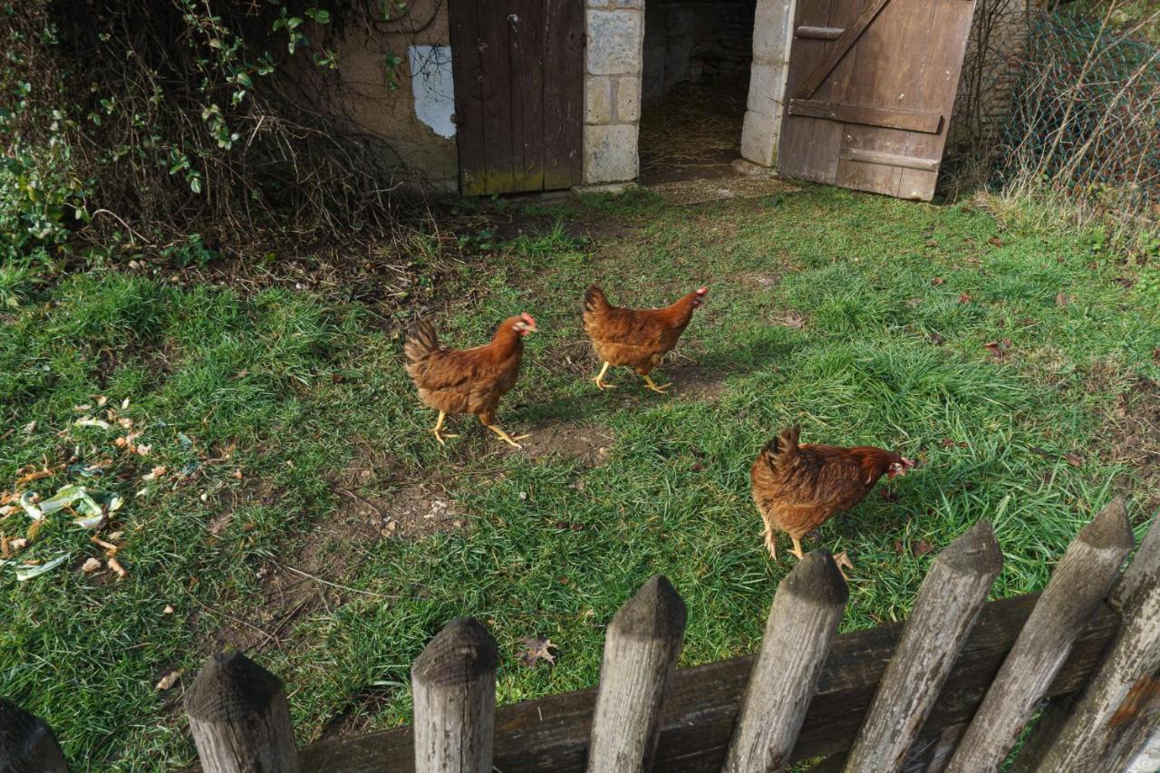 Chambres D'Hote En Dordogne Beauronne エクステリア 写真